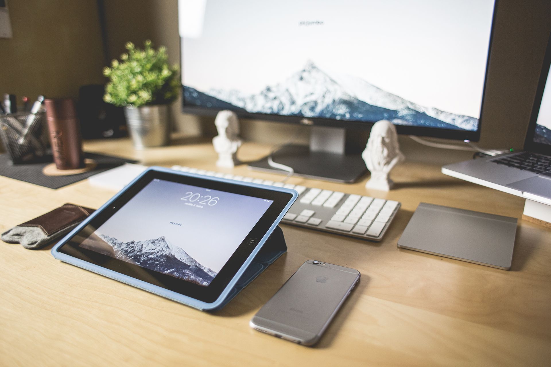 Web Development Project
